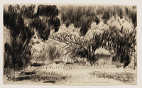 KT 2004 117
<br/>
De tuin van Daumier te Valmondois
<br/>
<em>Prenen, Harry (1915-1992)</em>